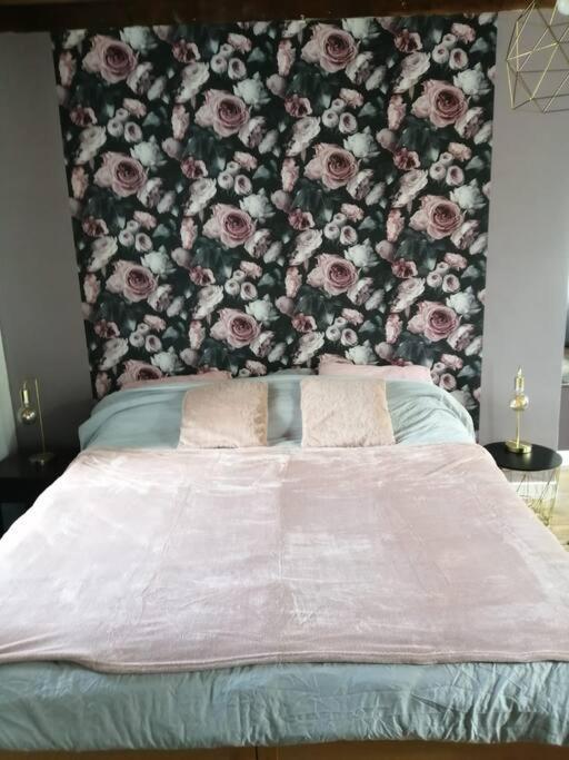 Jolie Maison En Pierre Proche Centre-Ville 瑟堡 外观 照片